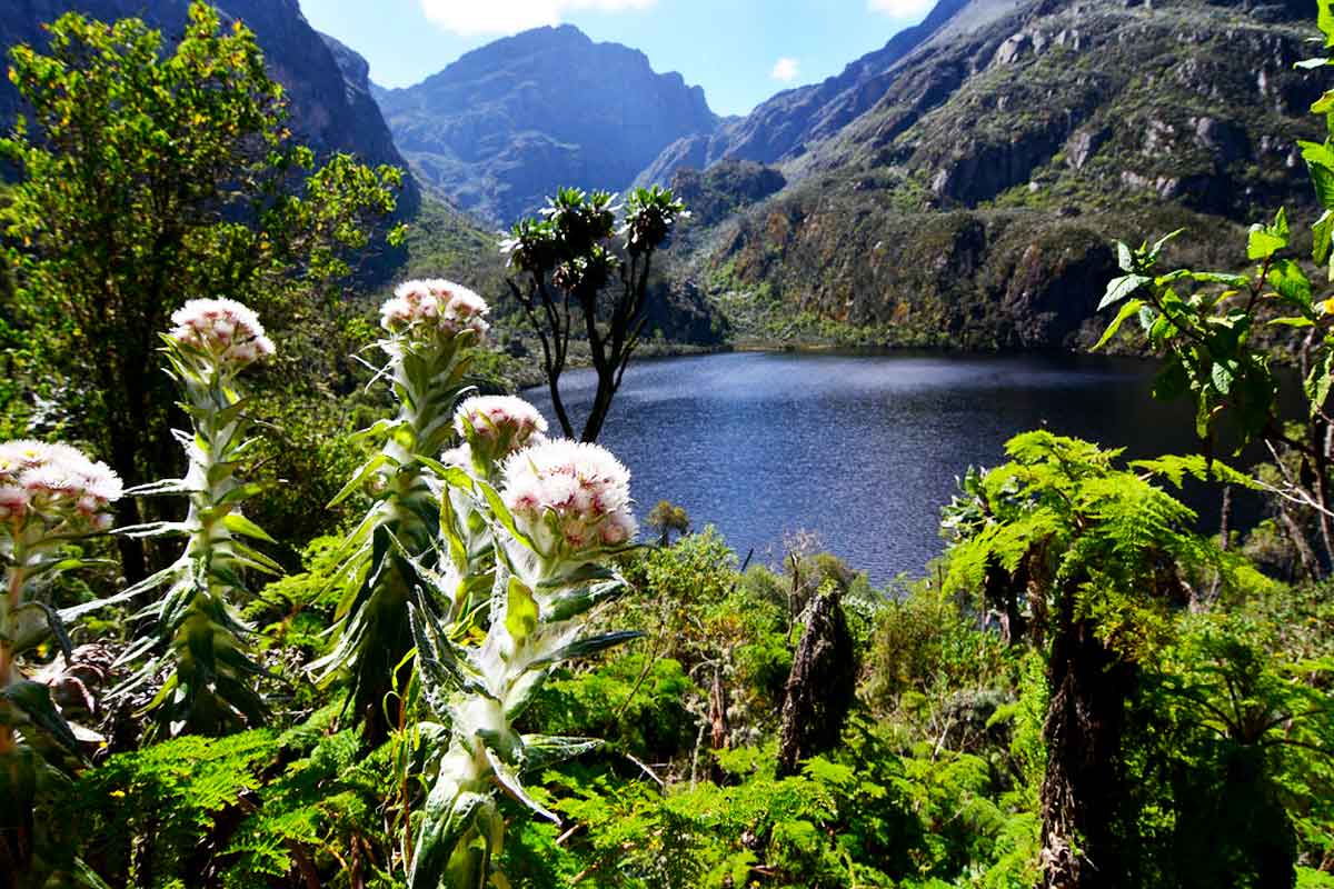 Rwenzori Mountains National Park