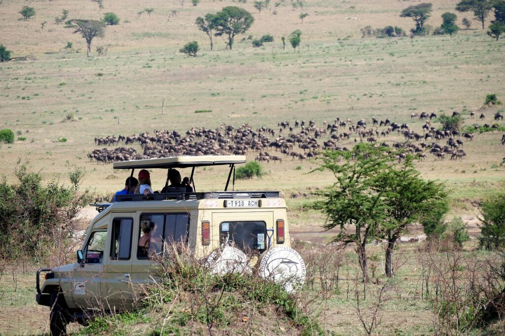 Game Drive_Eye World Tour