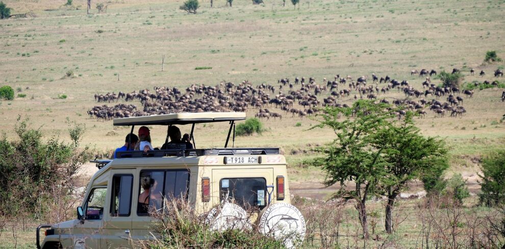 Game Drive_Eye World Tour