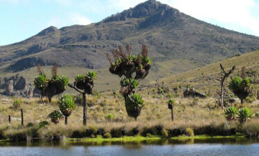 Mt. Elgon National Park