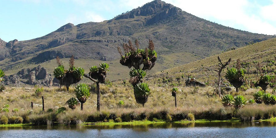Mt. Elgon National Park