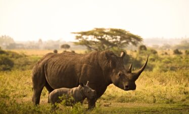 3 Days – Murchison Falls