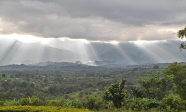 Rwenzori Mountain Trip