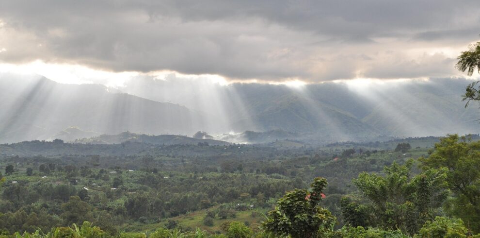 Rwenzori Mountain Trip